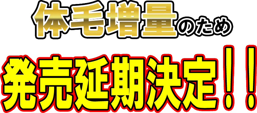 発売延期決定！